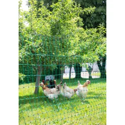 Geflügelnetz PoultryNet Doppelspitze 106 cm 50 m grün