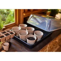 Gewächshaus XXL 52x142x23 cm inkl.Deckel