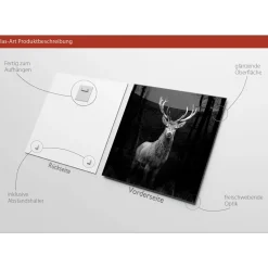 Glas-Art Grey Deer Head 20 x 20 Glasbild