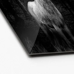 Glas-Art Grey Deer Head 20 x 20 Glasbild