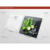 Glas-Art Limon und Ice Cube 30 x 30 Glasbild
