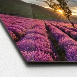 Glas-Art Silence 30 x 80 Glasbild