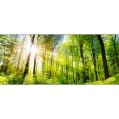 Glas-Art Towards The Sun 50 x 125 cm Glasbild
