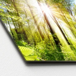 Glas-Art Towards The Sun 50 x 125 cm Glasbild