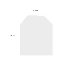 Glasbodenplatte 8mm Sechseck100x120cm