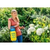 Gloria Drucksprüher Prima 3 3 L inkl Messing-Lanze