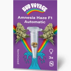 Hanfsamen BudVoyage Amnesia Haze F1 Auto3 Samen