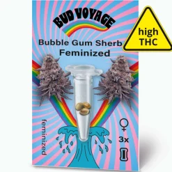 Hanfsamen BudVoyage Bubble Gum Sherb Fem3 Samen