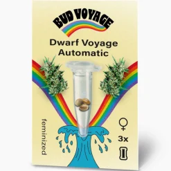 Hanfsamen BudVoyage Dwarf Auto, 3 Samen