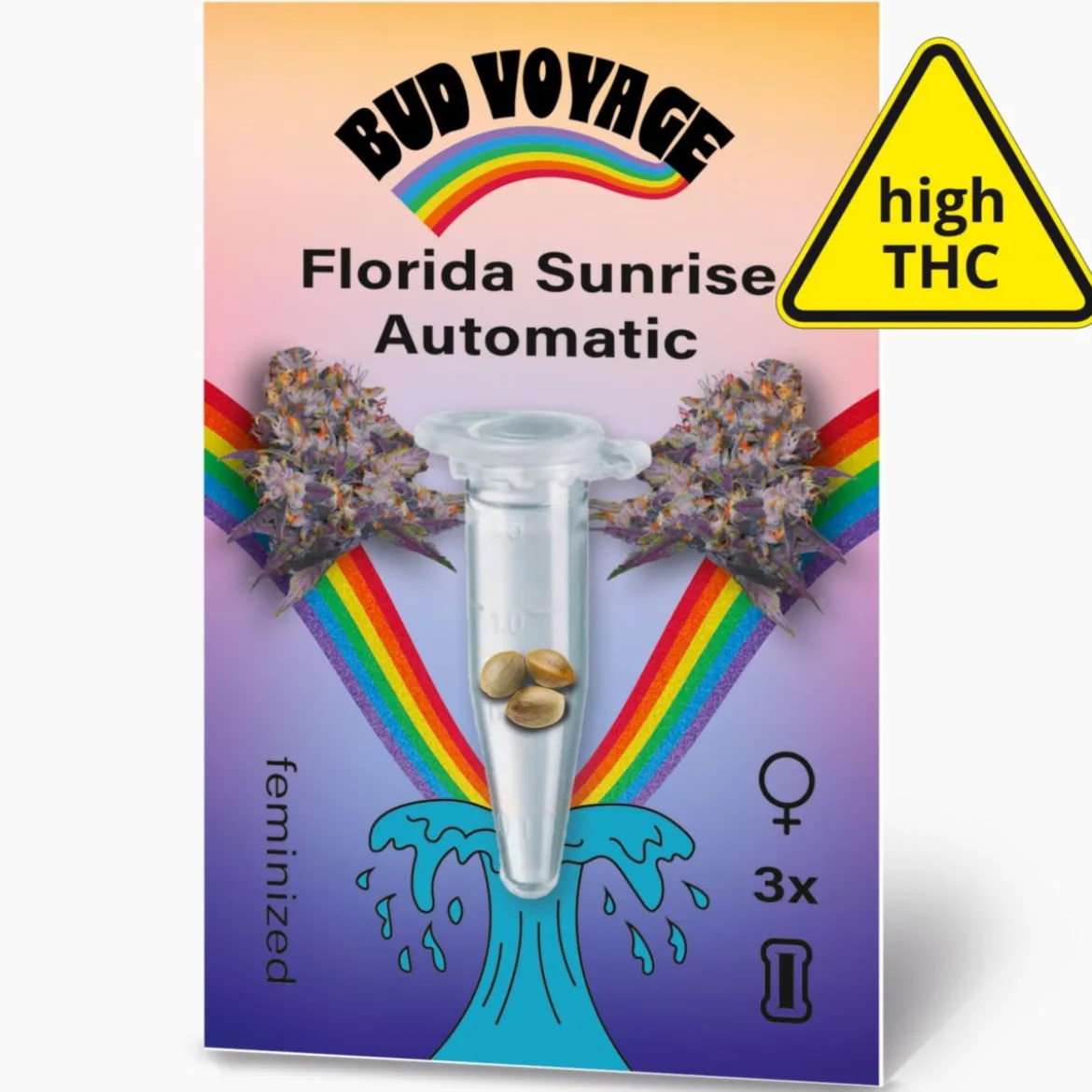 Hanfsamen BudVoyage Florida Sunrise Auto3 Samen