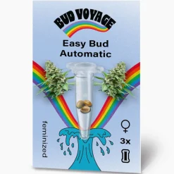 Hanfsamen BudVoyage Hippie Hanf- EasyBud Auto, 3 Samen