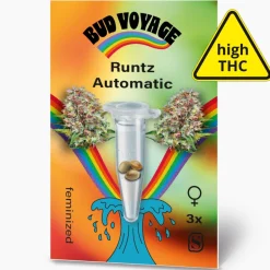 Hanfsamen BudVoyage Runtz Auto, 3 Samen