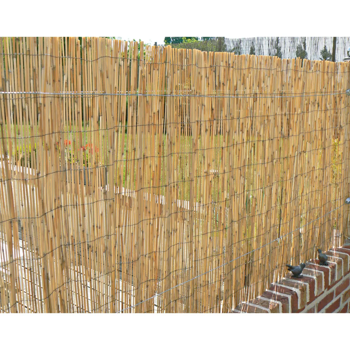 HartmannSchilfrohrmatte Malaga 100 x 600 cm