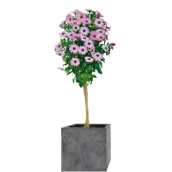 Haveson Pflanengefäßserie Wiped Grey