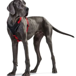 Hunter Hundegeschirr Neopren rot-schwarz Größe XS