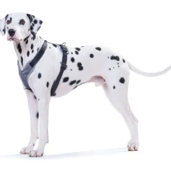 Hunter Hundegeschirr Neopren schwarz-grau Größe XS