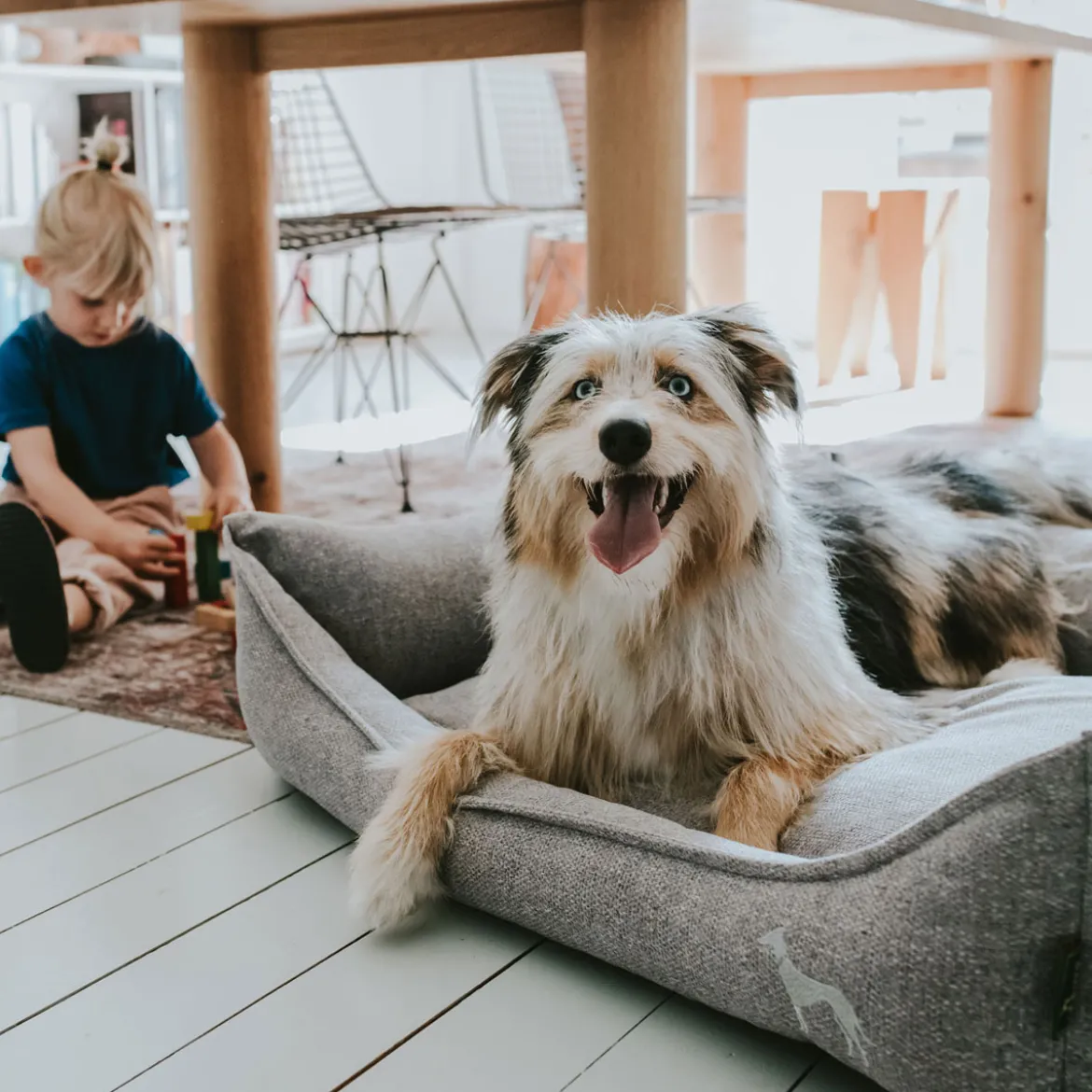 Hunter Hundesofa Prag grau 90 x 70 cm