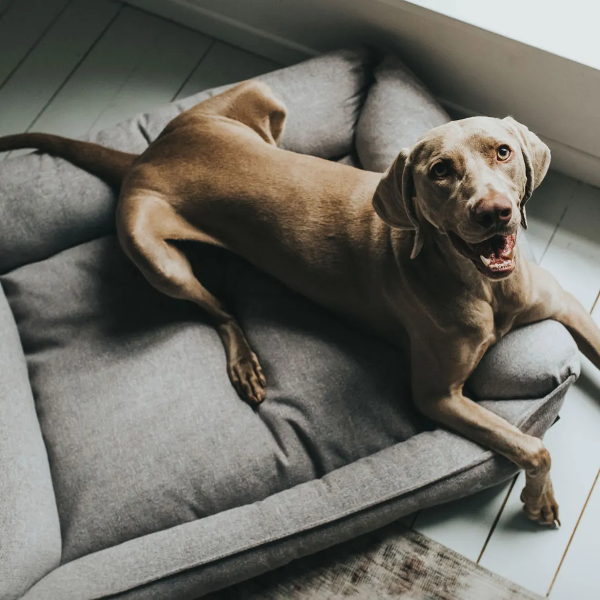 Hunter Hundesofa Prag grau 90 x 70 cm