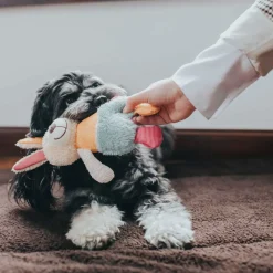 Hunter Hundespielzeug Muli Hase mehrfarbig 18 cm
