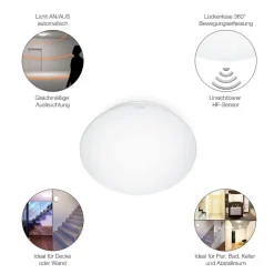 Innenleuchte RS 16 LED Glas