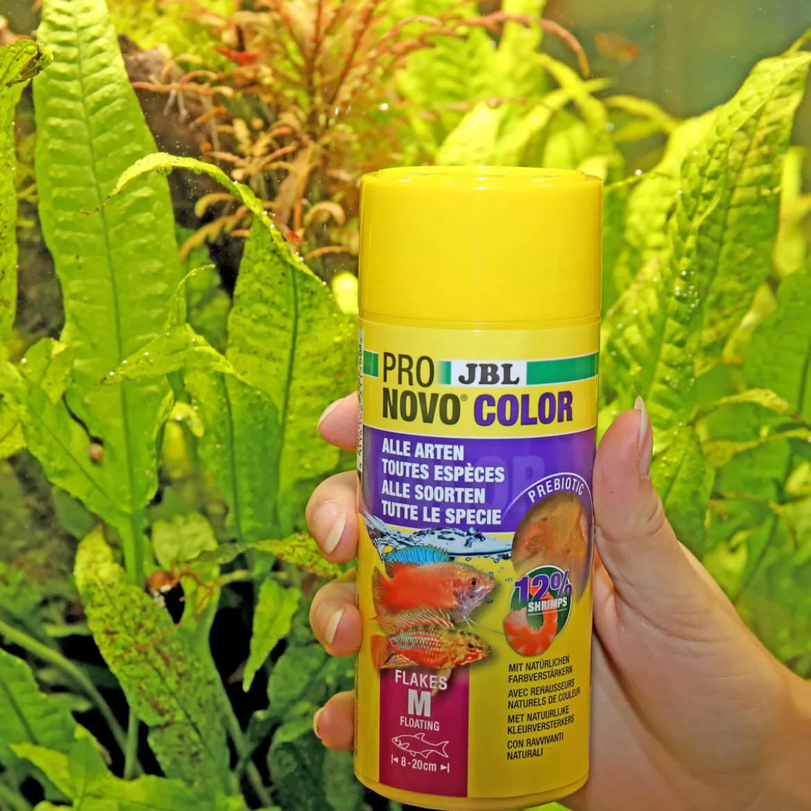 JBLPRONOVO COLOR FLAKES M 250ml