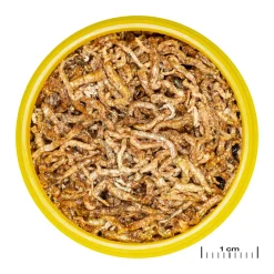 JBLPRONOVO FIL 100ml