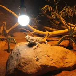 JBLReptil LED Daylight 13W