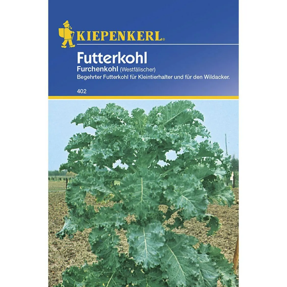 Kiepenkerl Futterkohl Westfälischer Furchenkohl