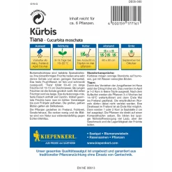 Kiepenkerl Kürbis Tiana