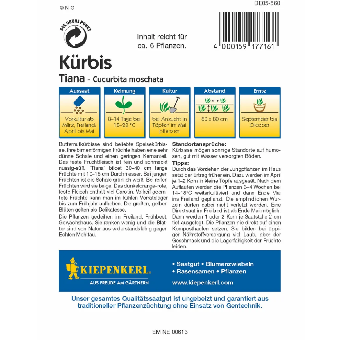 Kiepenkerl Kürbis Tiana