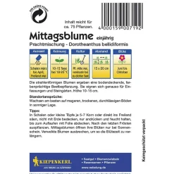 Kiepenkerl Mittagsblumen Dorotheantus Mischung