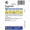 Kiepenkerl Pimpinelle mehrjährig