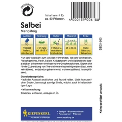 Kiepenkerl Salbei mehrjährig