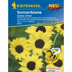 Kiepenkerl Sonnenblume Soluna Lemon