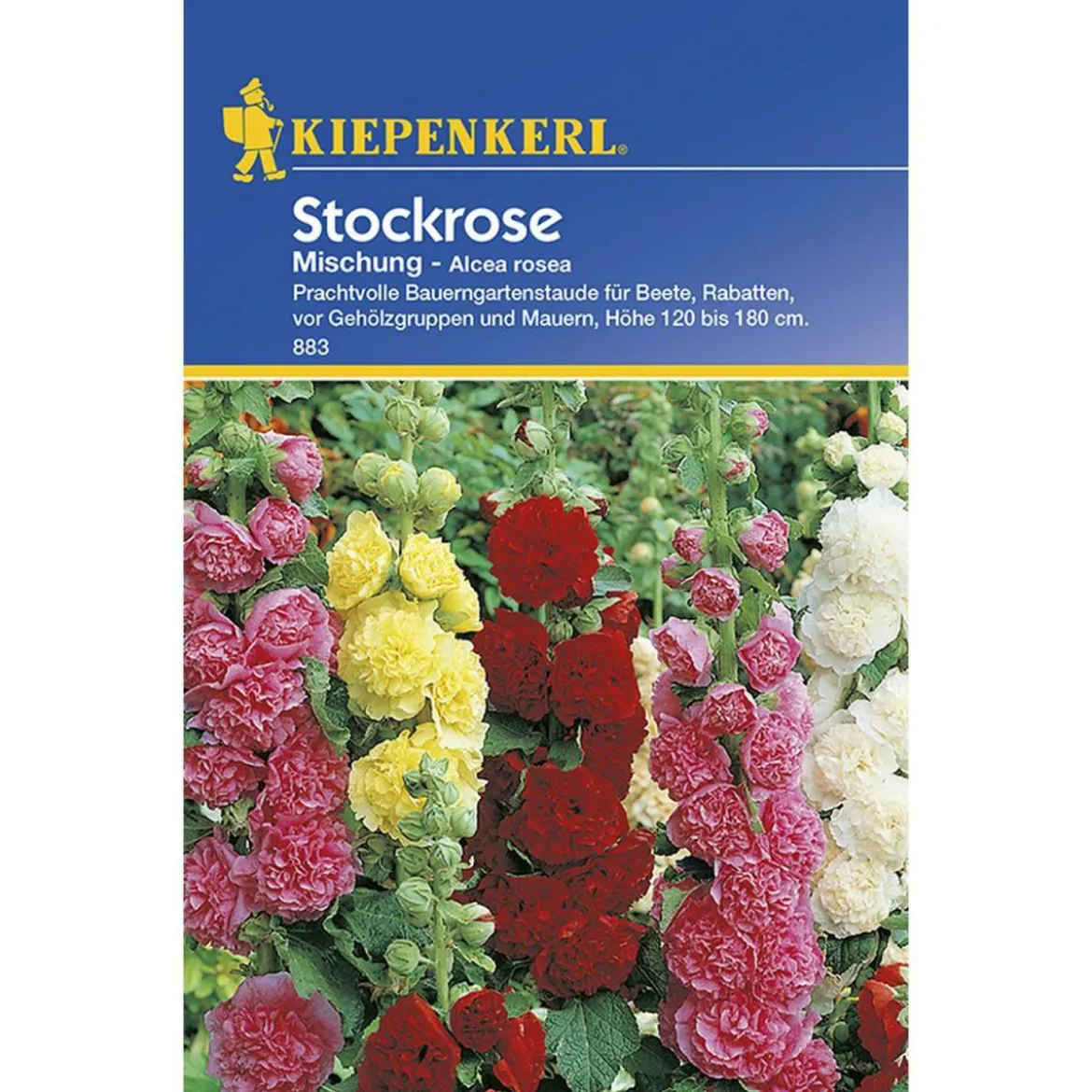 Kiepenkerl Stockrosen Mischung