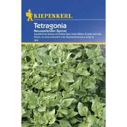 Kiepenkerl Tetragonia Neuseeländer Spinat