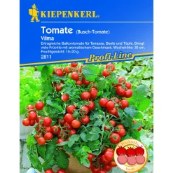 Kiepenkerl Tomate Vilma
