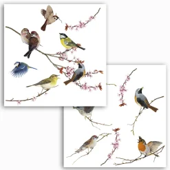 KomarFenstersticker Birds 31x31 cm