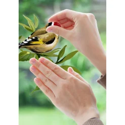KomarFenstersticker Spring Fever 31x31 cm
