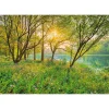 Komar Papier-Fototapete Spring Lake 8-teilig 368 x 254 cm