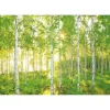 Komar Papier-Fototapete Sunday 8-teilig 368 x 254 cm