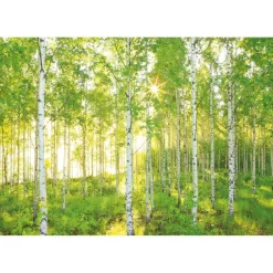 Komar Papier-Fototapete Sunday 8-teilig 368 x 254 cm