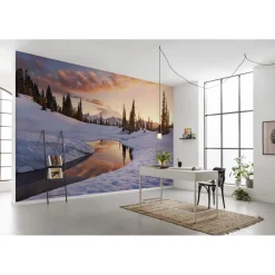 KomarVlies Fototapete America the Beautiful 450x280 cm