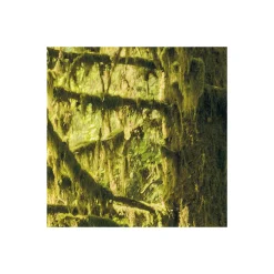 KomarVlies Fototapete Ancient World 400x250 cm
