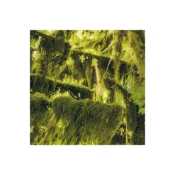 KomarVlies Fototapete Ancient World 400x250 cm