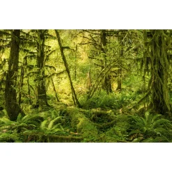 KomarVlies Fototapete Ancient World 400x250 cm