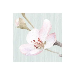 KomarVlies Fototapete Apple Bloom 250x250 cm