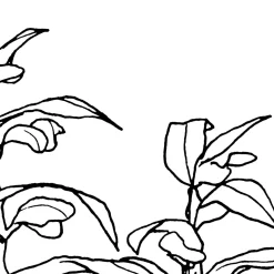 KomarVlies Fototapete Blanca 400x280 cm