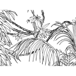 KomarVlies Fototapete Blanca 400x280 cm