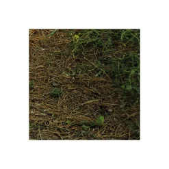 KomarVlies Fototapete Blütenzauberwald 450x280 cm